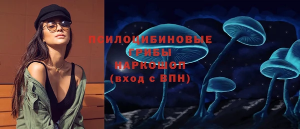 дурь Алексеевка